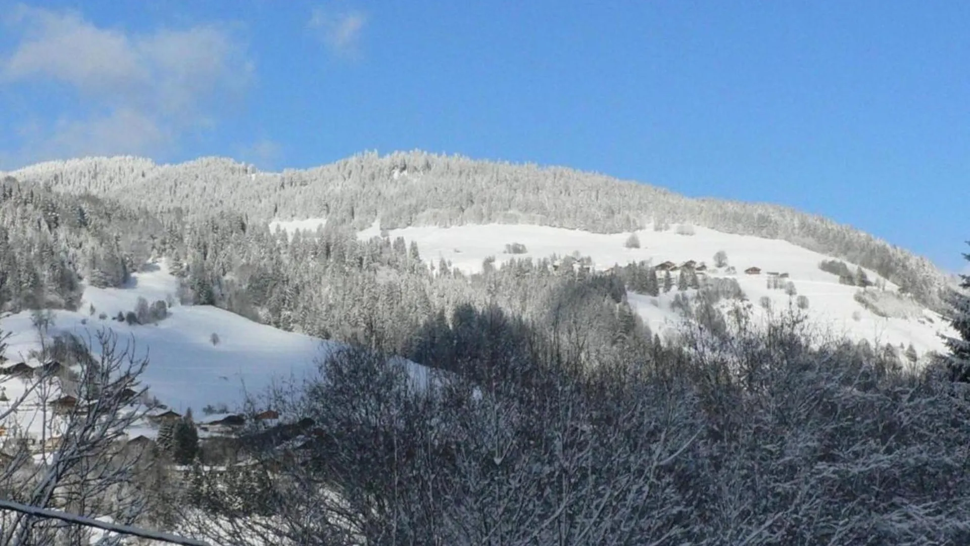 Stylish Apartment With Dishwasher Praz-sur-Arly