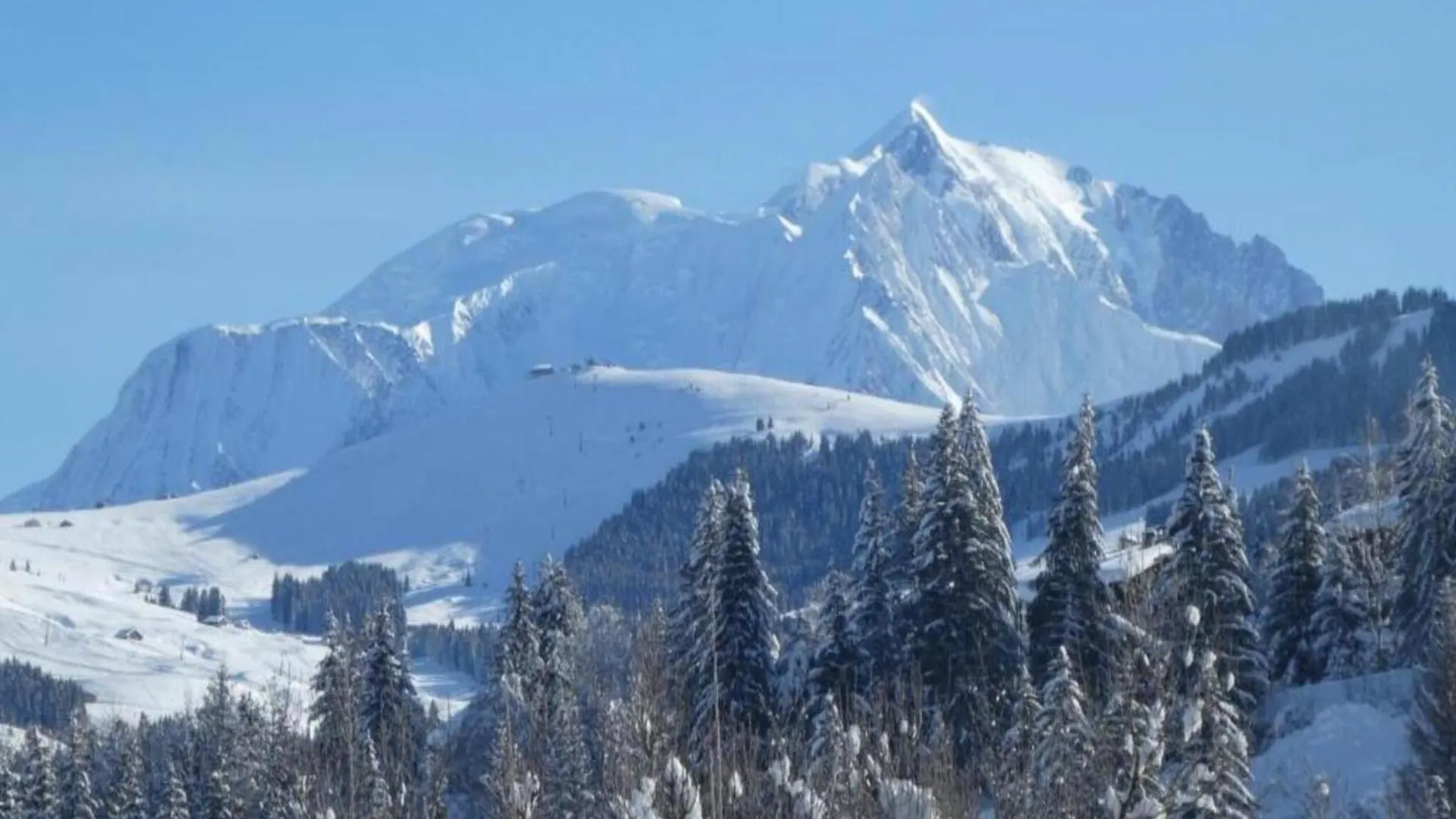 Stylish Apartment With Dishwasher Praz-sur-Arly Francia