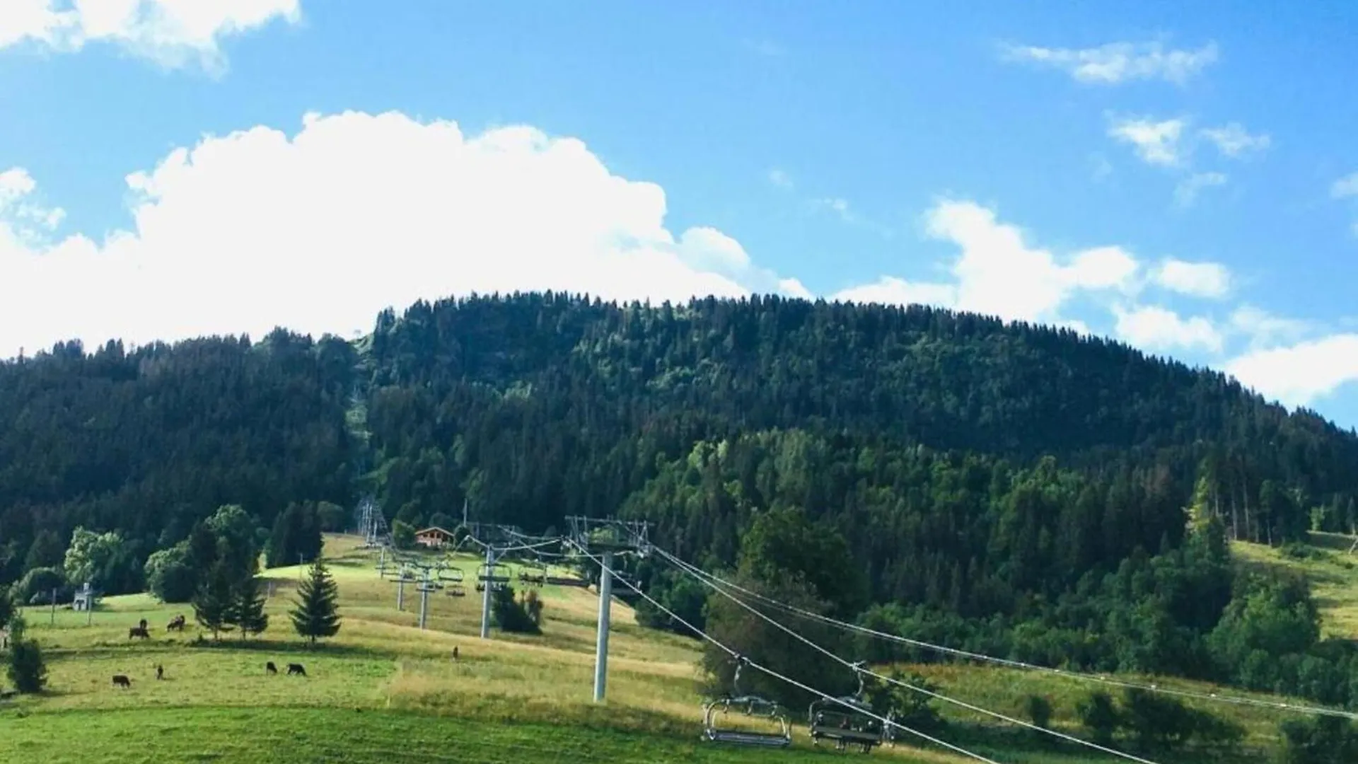 Stylish Apartment With Dishwasher Praz-sur-Arly